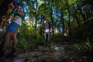 BIB: 
                            <button type="button" onclick="openModal(19229808)" class="btn btn-primary btn-sm float-right btn-popup" data-toggle="modal" data-target=".modal-high-quality">
                        <i class="fas fa-shopping-cart"></i> Add to Cart
                    </button>
                                            <button type="button" onclick="isThisMe(19229808, true)" class="btn btn-success btn-sm float-right btn-popup btn-isme hidden" data-toggle="tooltip" data-placement="bottom" title="นี่คือรูปของคุณใช่ไหม คลิกที่นี่เพื่อเอาเข้าอัลบั้ม">
                        <i class="fas fa-plus"></i> Add to album
                    </button>
                    <button type="button" onclick="isThisMe(19229808, false)" class="btn btn-warning btn-sm float-right btn-popup btn-isnotme hidden">
                        <i class="fas fa-ban"></i> Remove from album
                    </button>